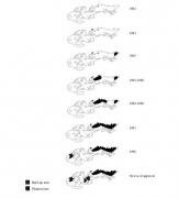 Incremental Growth of Ariel © B'Tselem